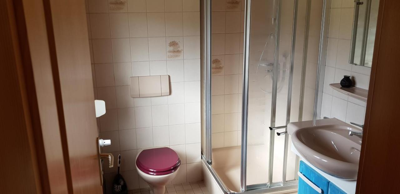 Ferienhof Ziegler- Sonnenschein Baiersbronn Bagian luar foto