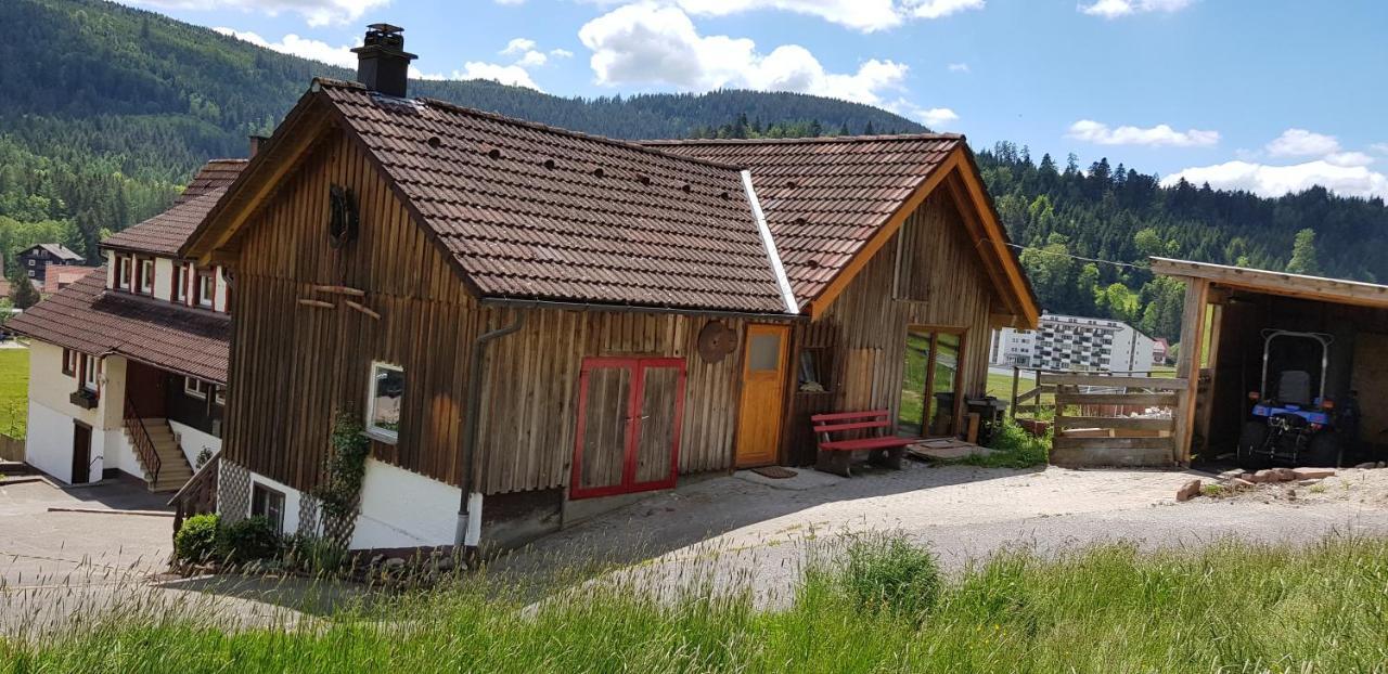 Ferienhof Ziegler- Sonnenschein Baiersbronn Bagian luar foto