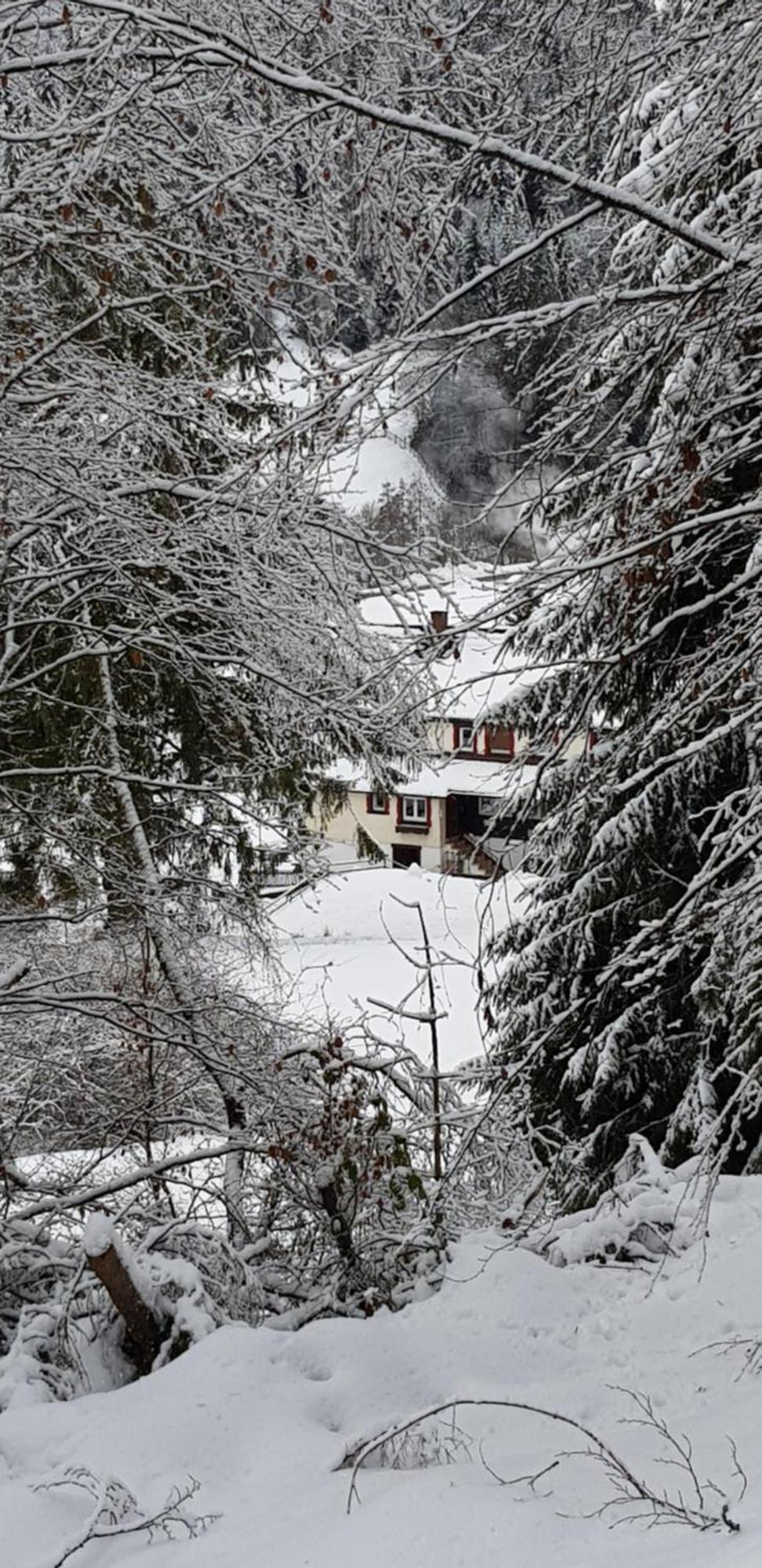 Ferienhof Ziegler- Sonnenschein Baiersbronn Bagian luar foto